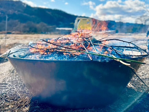 梅干しの製造工程